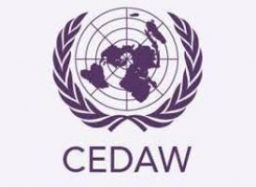 C.G.T.S.: LA VIOLENCIA INSTITUCIONAL POR ACCIÓN U OMISIÓN DEL ESTADO NO ES RECONOCIDA. NO HAY UNA REVISIÓN OFICIAL DEL SESGO DE GÉNERO EN LAS RESOLUCIONES JUDICIALES
