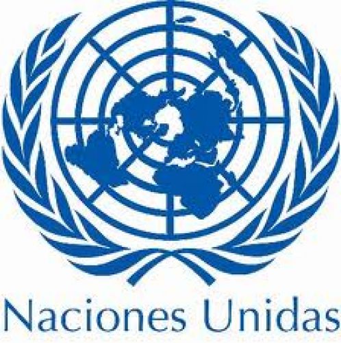 FAO pugna por colocar nutrición y seguridad alimentaria en agenda de desarrollo post 2015