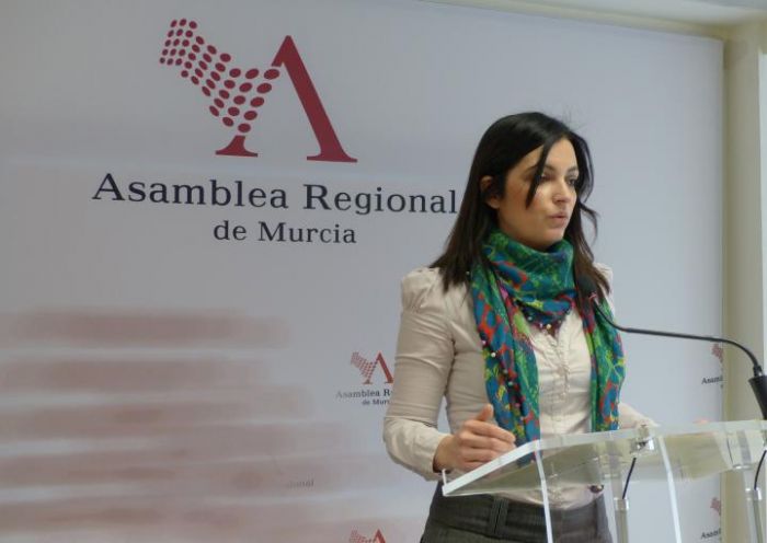 Trabajo Social solicita a la Asamblea Regional una modificación de la Ley de Renta Básica de Inserción para que se cumpla con el importe mínimo que marca la Ley