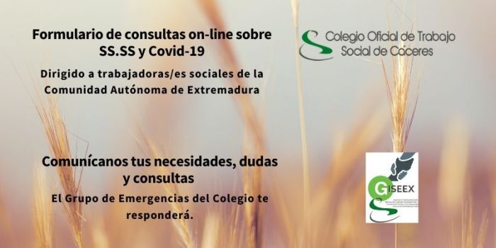 PRESENTACIÓN FORMULARIO ON-LINE DE CONSULTAS SOBRE COVID-19 Y SS.SS