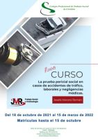 CURSO ONLINE "LA PRUEBA PERICIAL SOCIAL EN CASOS DE ACCIDENTES DE TRÁFICO, LABORALES Y NEGLIGENCIAS MÉDICAS"