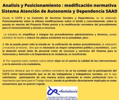 Posicionamiento del Consejo Andaluz de T.S y su Comisión de Servicios Sociales y Dependencia.