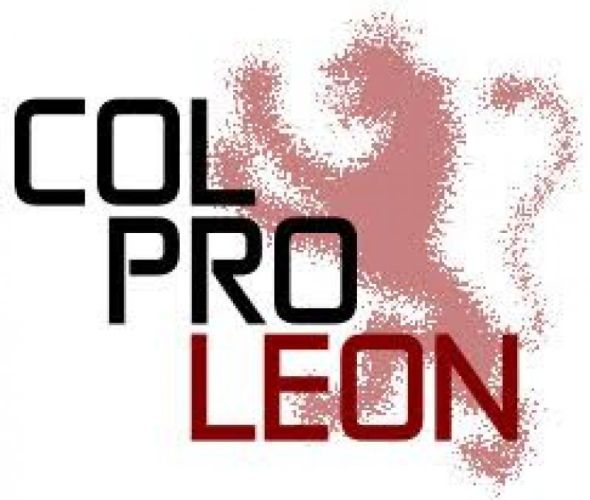 Presentación de la Asociación de Colegios Profesionales de León, COLPROLEON.