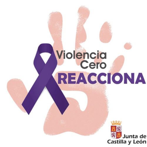 Comparecencia del Consejo Autonómico de Trabajo Social en las Cortes de Castilla y León el 6 de julio.
