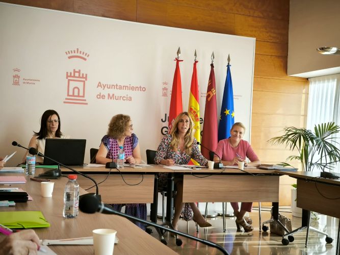 El Colegio asiste al Consejo Municipal de Servicios Sociales del Ayuntamiento de Murcia