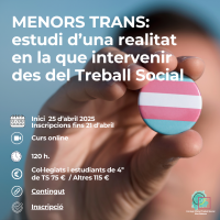 2025 Menores Trans, estudio de una realidad en la que intervenir desde el trabajo social